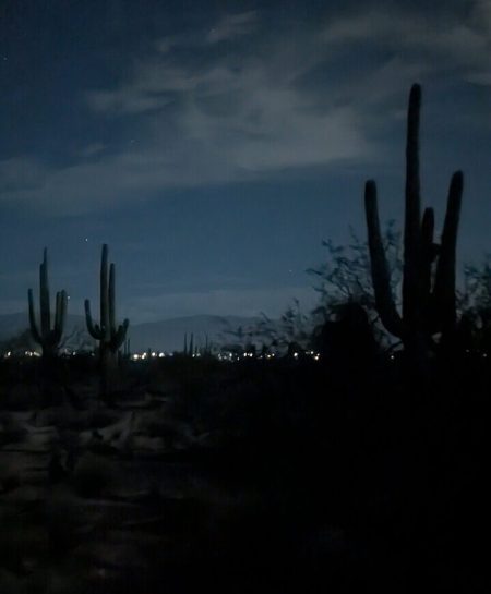 PXL_20251128_033834003.NIGHT_3